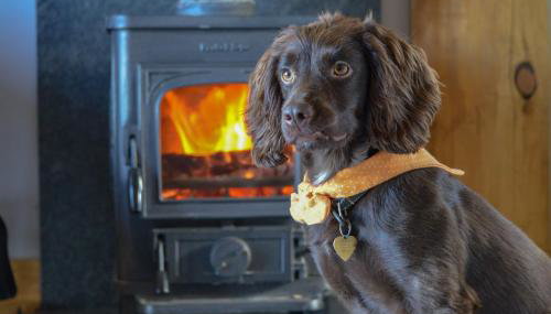 Rowanlea Lodge Hot Tub Secure Garden Pub 5 min walk - Foto 2