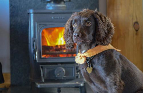 Rowanlea Lodge Hot Tub Secure Garden Pub 5 min walk - Foto 2