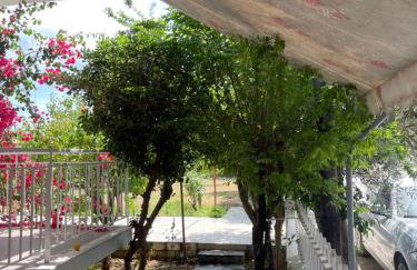 Cosy spot near the beach only 45 min from Athens - Foto 24