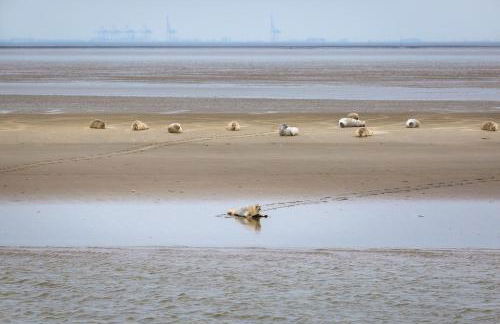Ferienhaus Küstenkind - Top Lage - Garten eingezäunt - Photo 24