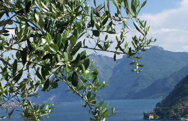 Maison Casa Lavanda - Foto 14