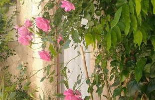 Maison de village, piscine, Colorado - Foto 40