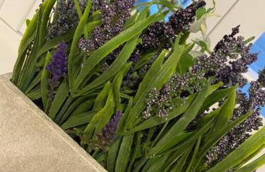 UNRIVALLED LOCATION - FIVE STAR - Worcester Apartment - Foto 25