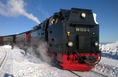 Ferienwohnung am Harz - Foto 23