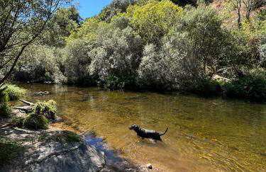 Casa do Outro Mundo - Foto 63