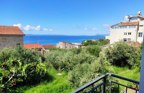 House Silva - Photo 2