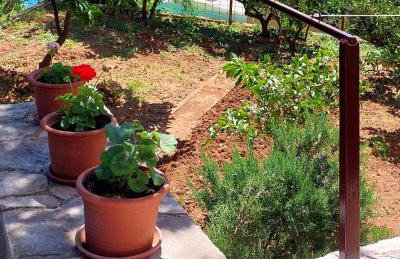 Tangerine Apartment - Foto 15