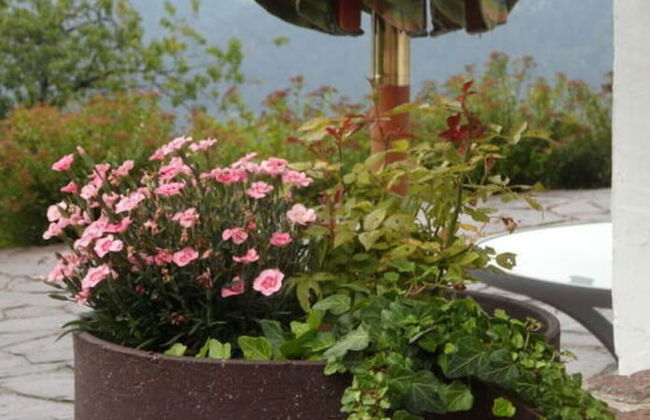 Lovely Apartment in Berchtesgaden - Foto 31