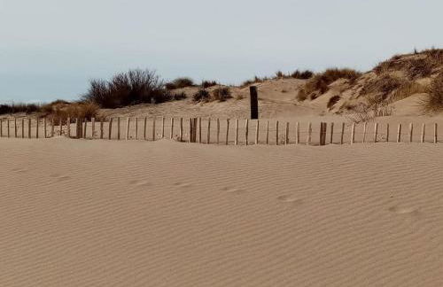 Appartement calme dans villa, piscine et spa et mer - Foto 22
