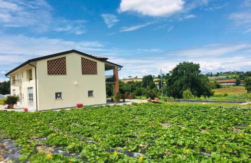 Incanto del Garda - Foto 37