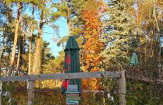 Waldpension Gussow - Foto 70