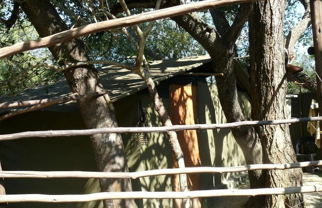3 bed Bush-tent Under 3 Trees, for Couple Plus Chaperone Free Lionhyena Sounds - Foto 14