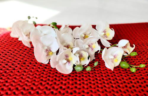 Casinha da Esquina - Foto 14