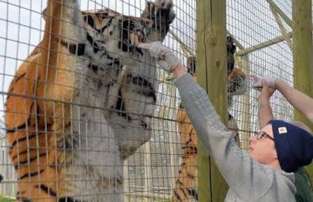 Little hideaway in the countryside Ash - Foto 18