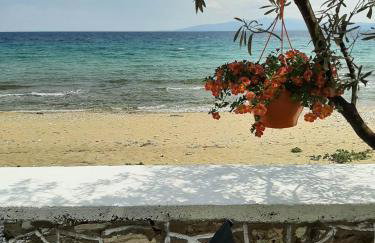 House Kokkalas on the beach - Photo 13