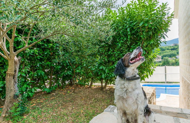 Villa Holiday Home Zvečanje - Foto 27