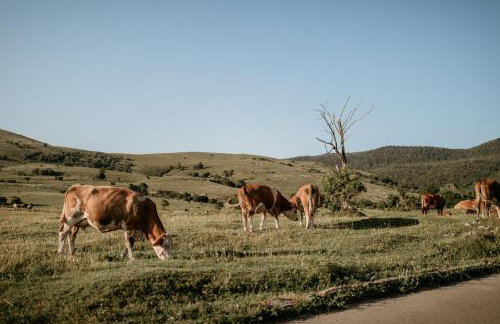 Apartman ZAZU - Foto 31