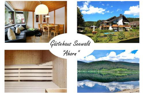 Gästehaus Seewald- Ferienwohnung 1 "Ahorn", Schluchsee, Blasiwald - Foto 1