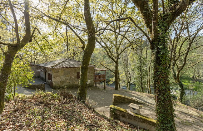 Quinta do Rio Homem - Photo 37