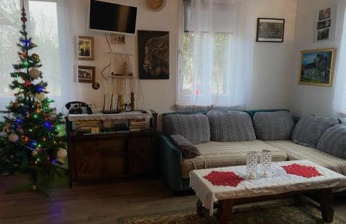 Agroturystyka Raj "Pod rzeźbami" - Photo 55