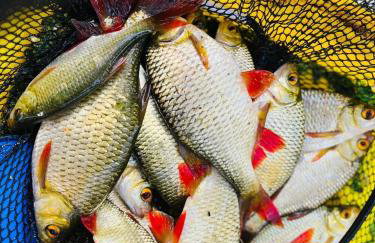 Nini House Giże - Foto 34