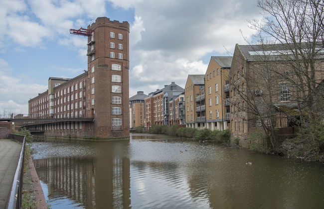 Chocolets - The Lion Suite - Foto 50