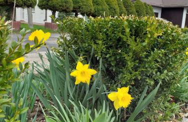 Domek pod Przehybą, Noclegi w okolicy Stary Sącz, Łącko, Szczawnica - Foto 38