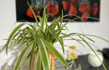 Vivi Aguilera apartament - Photo 22