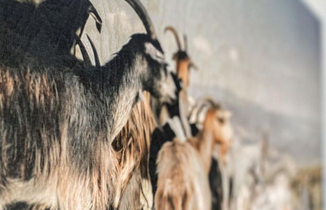 Luxury Apartment With Sauna, First ski Lift at 600m - Foto 19