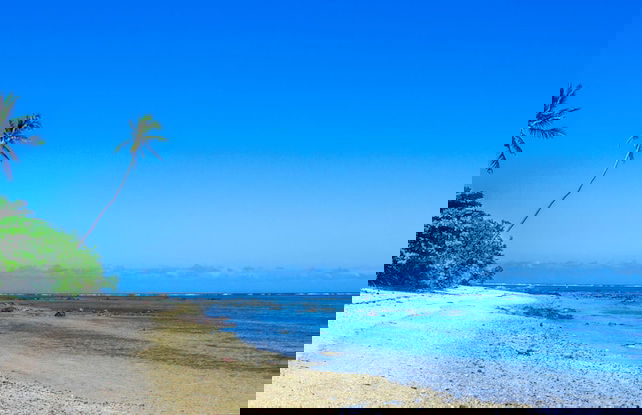 Seafront Apartment Coral Coast - Photo 49