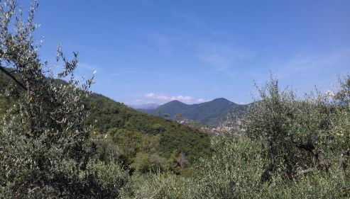 Az. Agrituristica U'SPIGU - Photo 2