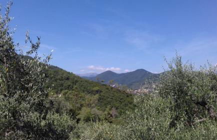 Az. Agrituristica U'SPIGU - Photo 2