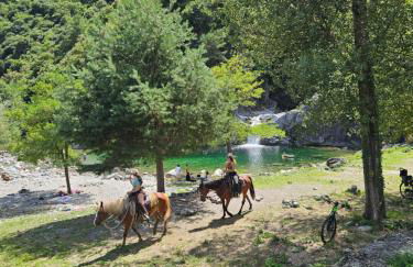 Mountain View House - Foto 7