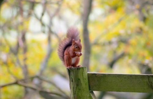 1 Bed in Hawes oc-94120 - Photo 6