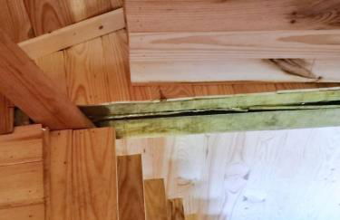 Le nid dans le chêne - Photo 37