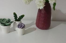 MANDAI Apartamento Cabo Frio - Photo 39