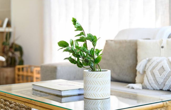 Your Ocean Oasis Ocean Country Views Spa Pet Friendly Fireplace - Foto 35