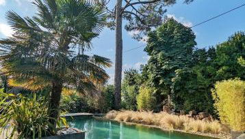 Fare Bambou - Foto 4, Garden