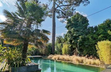 Fare Bambou - Foto 4