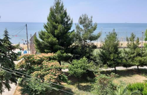 Soula's Sunshine Blue Apartment - Photo 16