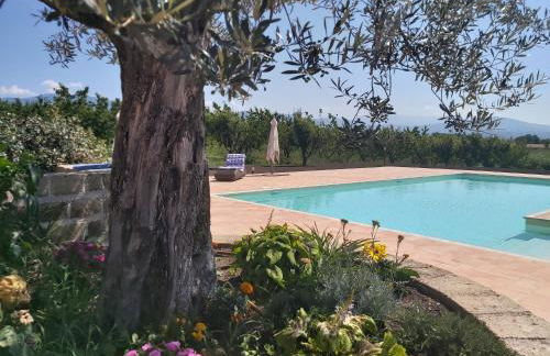 Tenuta Terre dei Latini - Photo 3