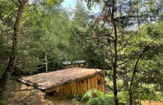 Boutique Glamping Divja DiVine - Foto 8