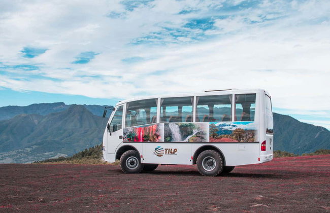 Southern La Palma Full-Day Tour - Photo 1