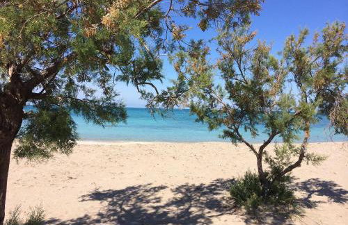 Case vacanza Torre Mozza Ugento Afr0dite - Foto 34