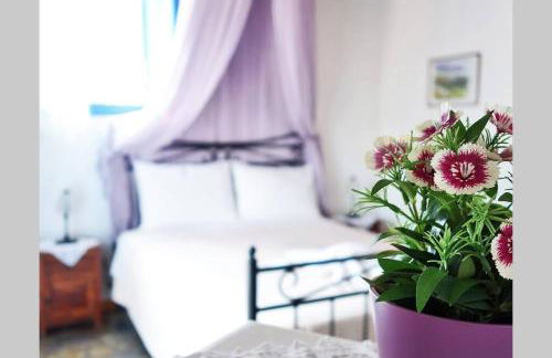 ELECTRA TRADITIONAL HOUSE - Foto 11