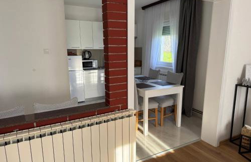 Apartman Rukavina - Foto 8