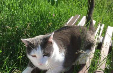 Ferienwohnung Im Schiller - Foto 11