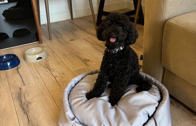 My Story Sopot Apartments - Foto 48