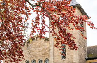 Arch Row Cottage - Stow on the Wold - Foto 16