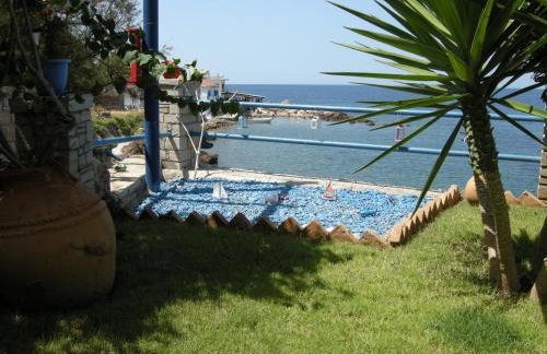 Alkioni Studios - Foto 71